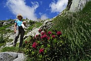 Al Rif. Ponti (2559 m), il rifugio del Disgrazia, dalla Valle di Preda Rossa il 23 giugno 2015 - FOTOGALLERY